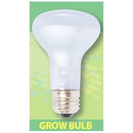 60 watt grow light bulb Agrosun Dayspot Incandescent Bulb 60W