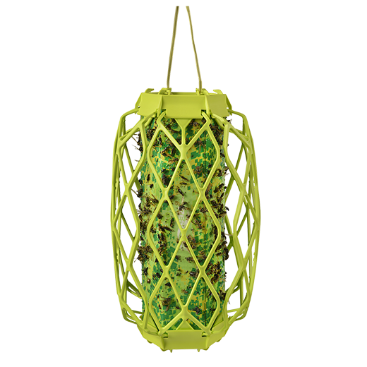 Rescue TrapStik Wasp Trap