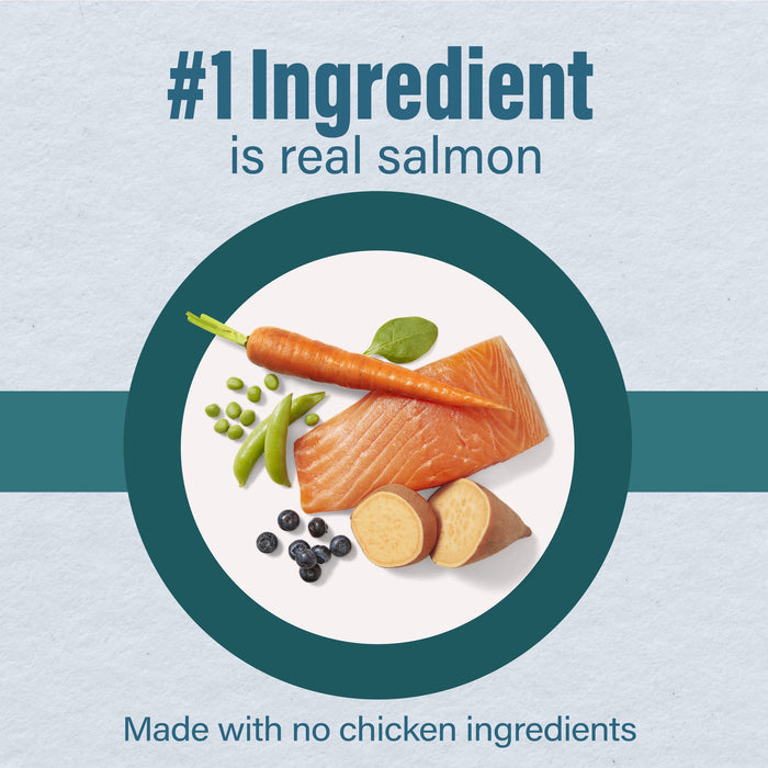 Nutrena® Loyall Life® Advanced Solutions Sensitive Skin & Coat Salmon & Oatmeal Recipe Adult Dog Food