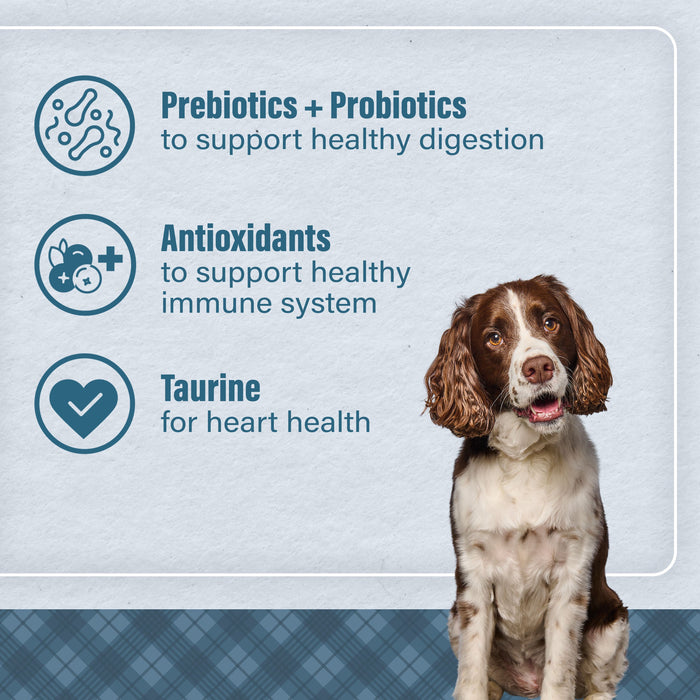 Nutrena® Loyall Life® Advanced Solutions Sensitive Skin & Coat Salmon & Oatmeal Recipe Adult Dog Food