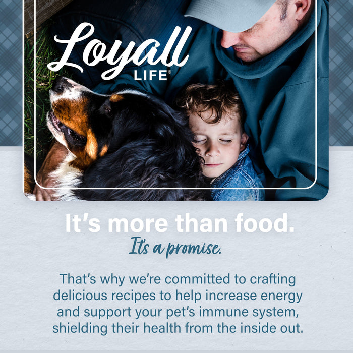 Nutrena® Loyall Life® Advanced Solutions Sensitive Skin & Coat Salmon & Oatmeal Recipe Adult Dog Food