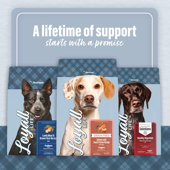 Nutrena® Loyall Life® Advanced Solutions Sensitive Skin & Coat Salmon & Oatmeal Recipe Adult Dog Food