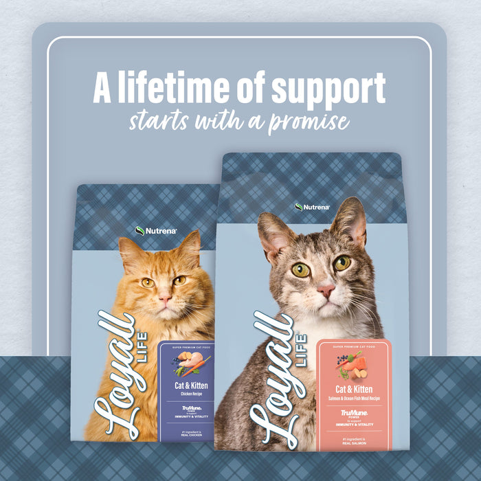 Nutrena® Loyall Life® Cat & Kitten Chicken Recipe