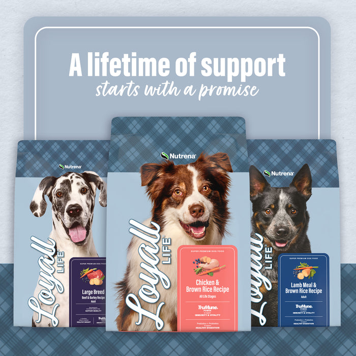 Nutrena® Loyall Life® Beef & Barley Recipe Adult Dog Food