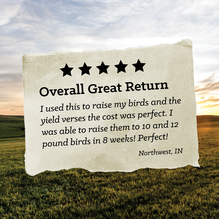 Nutrena® NatureWise® Meatbird 22% Protein Crumble