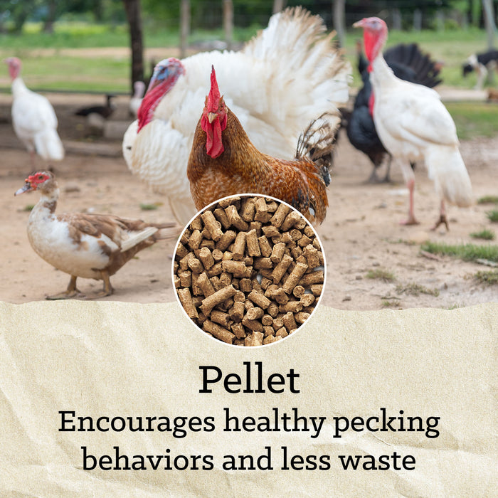 Nutrena® NatureWise® All Flock 20% Protein Pellet