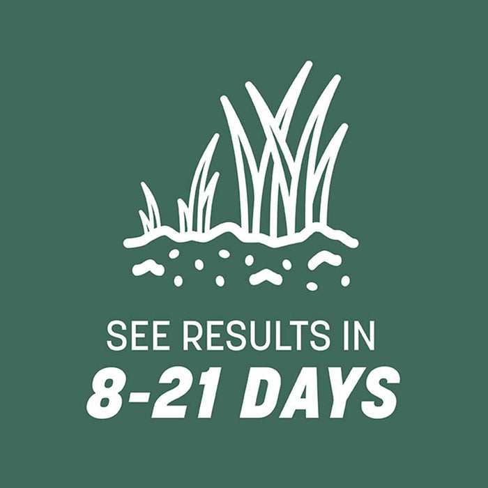 Pennington Kentucky 31 Tall Fescue Grass Seed