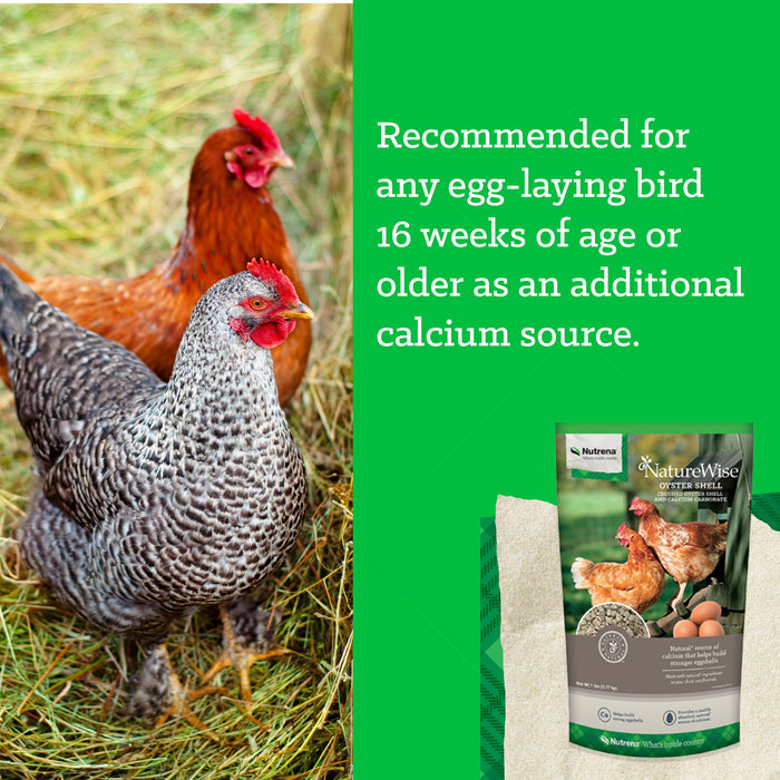 Nutrena® NatureWise® Oyster Shell