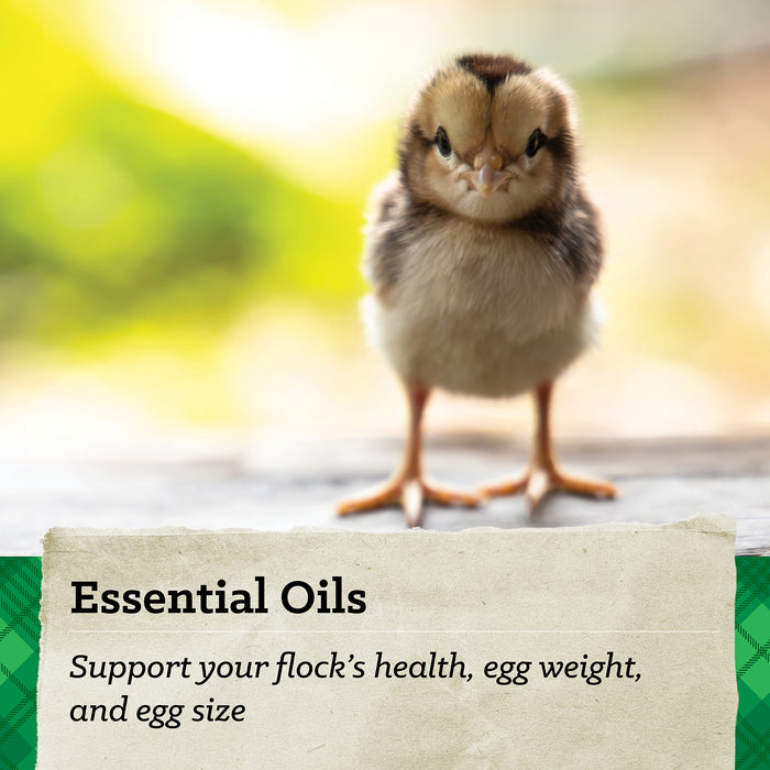 Nutrena® NatureWise® Chick Starter Grower Feed