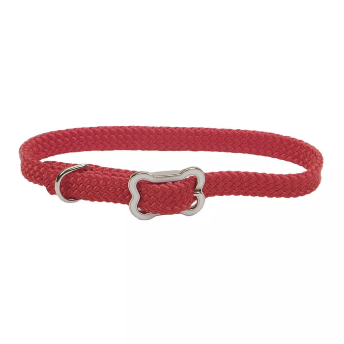 Coastal Pet Products Sunburst Dog Collar with Bone Buckle