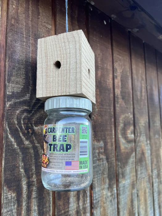 Billy Bob Billy Bob Carpenter Bee Trap – Hanging Outdoor Trap