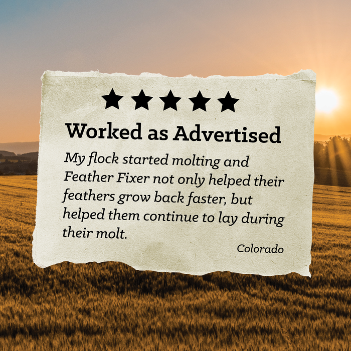 NatureWise® 20% Protein Feather Fixer Pellet Poultry Feed