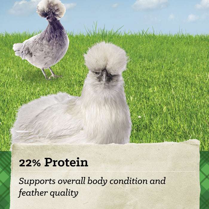 NatureWise® 22% Protein Silkie & Ornamental Layer Clean Crumb™ Poultry Feed