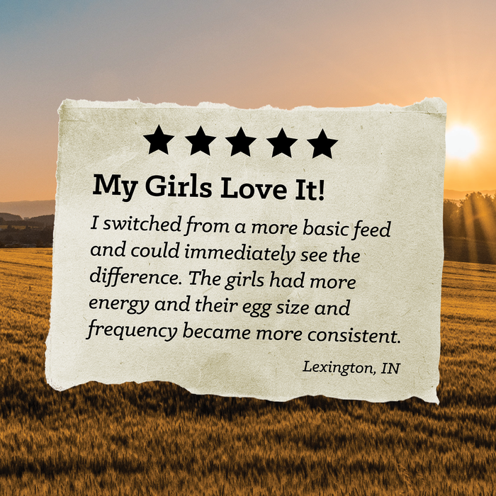 NatureWise® 17% Protein Layer Crumble Poultry Feed