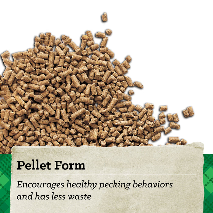 NatureWise® 17% Protein Layer Pellet Poultry Feed