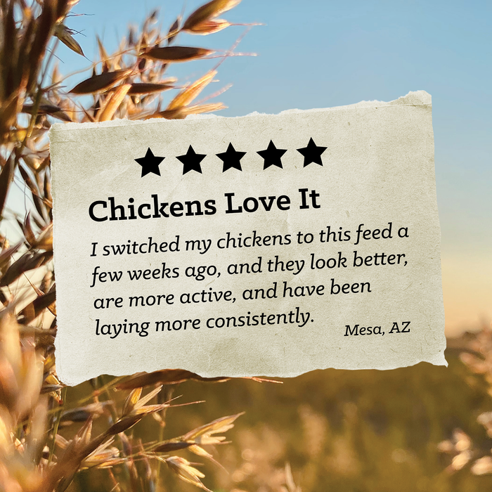 NatureWise® 17% Protein Layer Pellet Poultry Feed