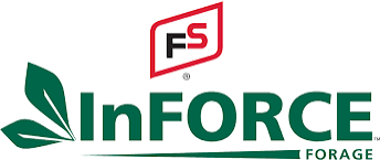FS InFORCE FS Charger Red Clover