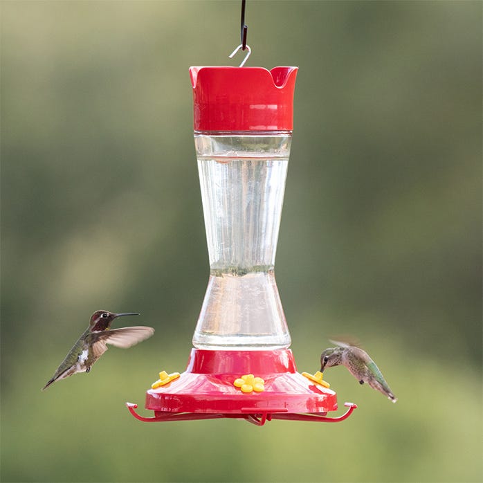 Perky-Pet® Pinch Waist Glass Hummingbird Feeder