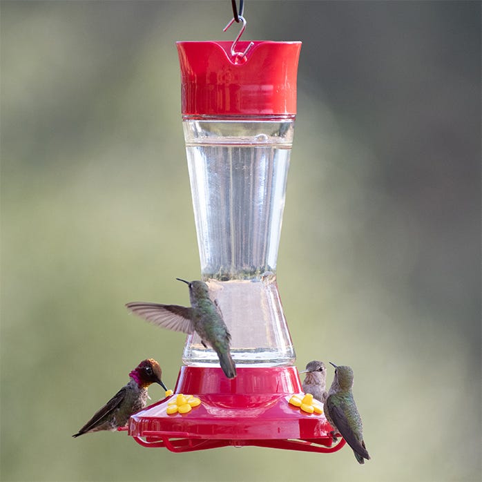 Perky-Pet® Pinch Waist Glass Hummingbird Feeder