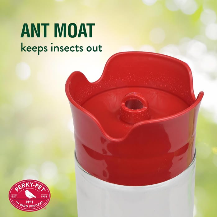 Perky-Pet® Pinch Waist Glass Hummingbird Feeder
