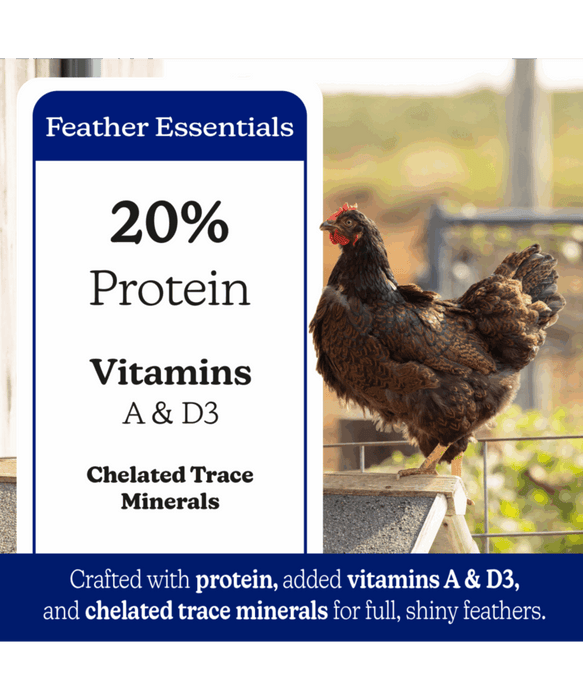 Nutrena NatureWise Feather Fixer 20% Protein Pellet