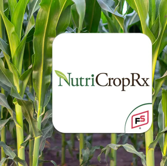 MAXIMIZE YOUR CROP’S POTENTIAL WITH NUTRIFUSE DBX CU