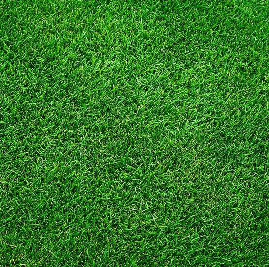SOLVE EVERY TURF PROBLEM WITH SOUTHERN STATES PROFESSIONAL TURF LINE