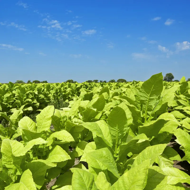 Propane For Your Farm