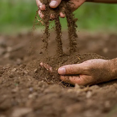 HOW HEALTHY IS YOUR SOIL?