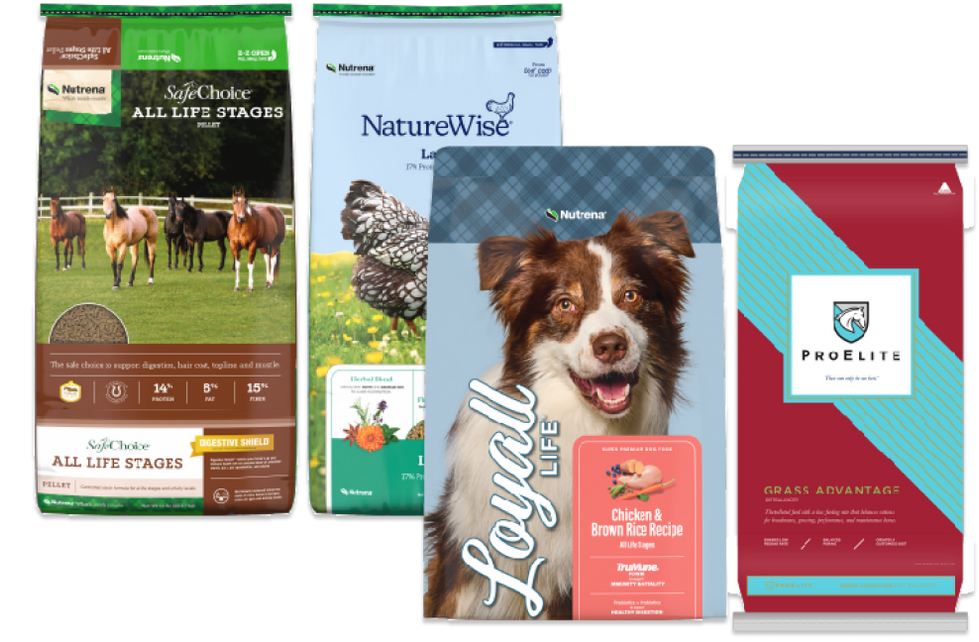 Spring Feed Savings