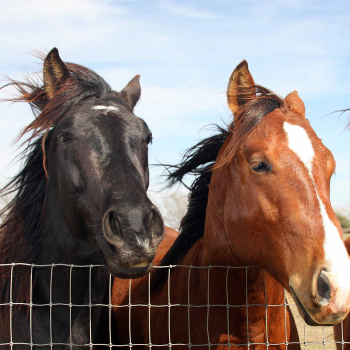 Stay Tuff High Tensile Horse Fence