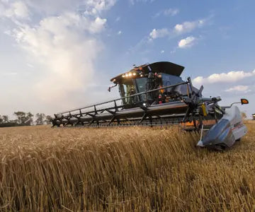 HIGH-PERFORMING WHEAT CROPS START AT SOUTHERN STATES