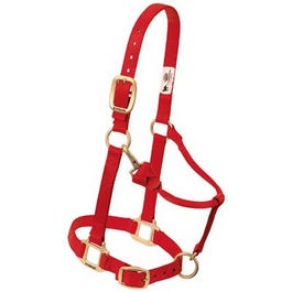 Horse Halter, Snap, Red Nylon, 1-In., Large/2-Year Draft