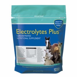 Livestock Electrolytes Plus Supplement, 6-Lbs.