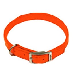 Dog Collar, Safety Orange, 1 x 20-In.
