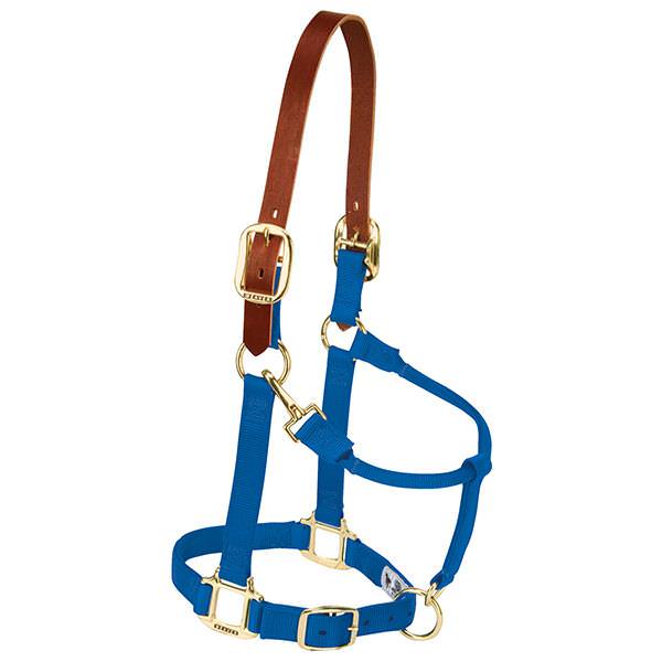 Weaver Leather Breakaway Original Adjustable Chin And Throat Snap Halter, 1" (Small, Blue)
