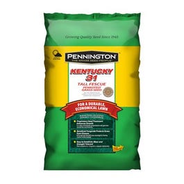 Southern States® Kentucky 31 Tall Fescue Lawn & Garden And Field Seed