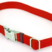 Coastal Pet Products Titan Metal Buckle Adjustable Nylon Medium Dog Collar