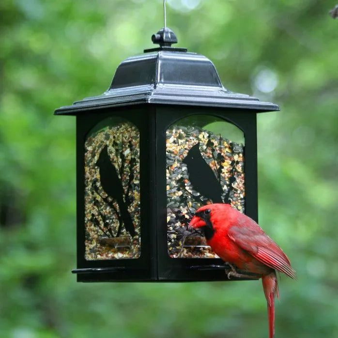 Woodstream Perky-Pet® Birds And Berries Lantern Wild Bird Feeder