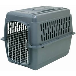 Agri supply shop dog kennel