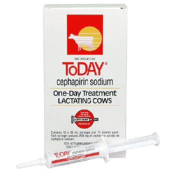 Boehringer Ingelheim Today Cephapirin Sodium For Lactating Cows - 10ml
