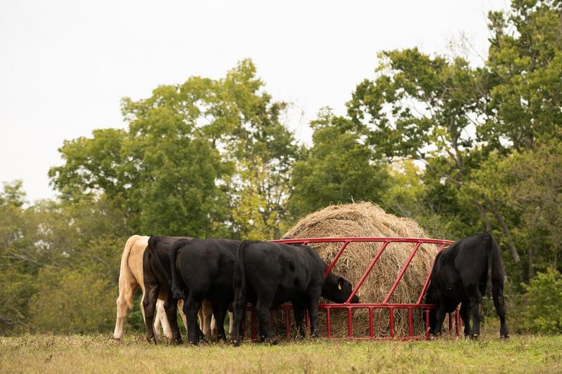 Tarter Steelcor Cattle Hay Feeder