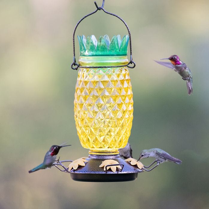 Perky Pet Pineapple Top Fill Hummingbird Feeder