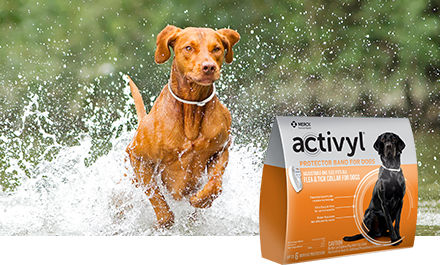 Activyl tick store