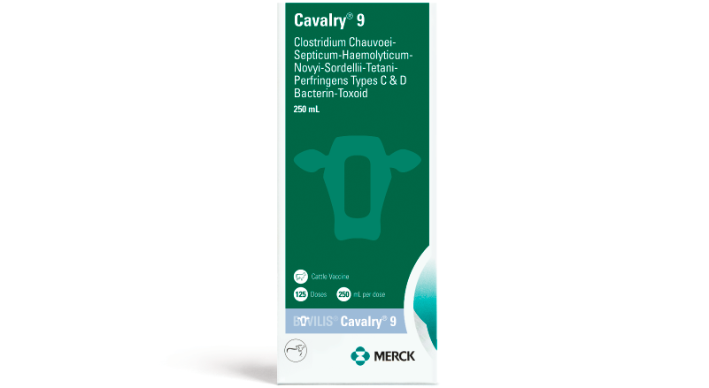 Merck Bovilis® Cavalry® 9 20 mL