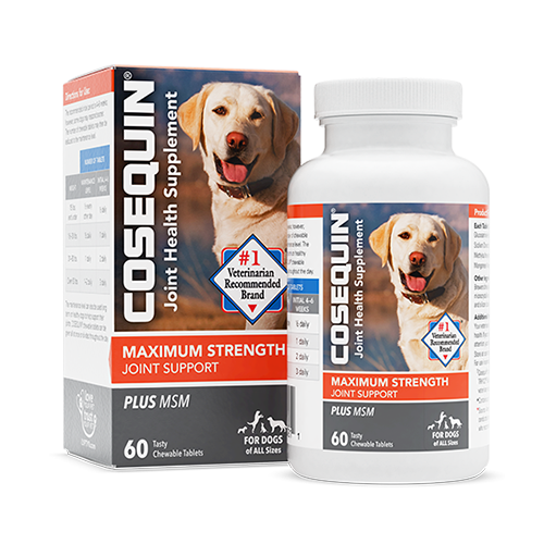 COSEQUIN Maximum Strength Plus MSM Chewable Tablets