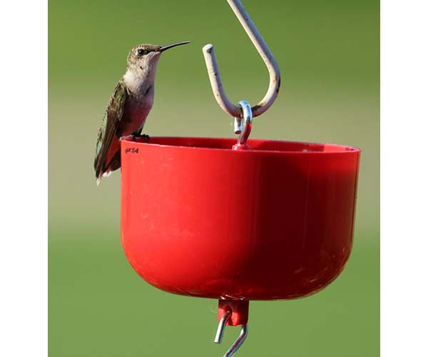 Songbird Essentials Nectar Protector Jr Red Bulk 9 oz