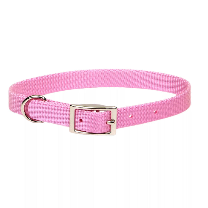 Coastal Pet Products Coastal Single-Ply Dog Collar Bright Pink 3/4" x 18"