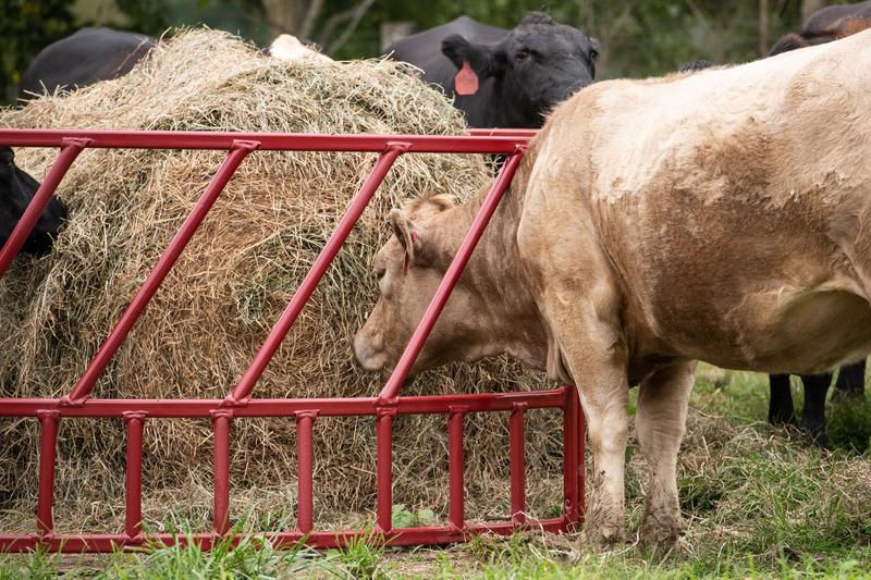 Tarter Steelcor Cattle Hay Feeder