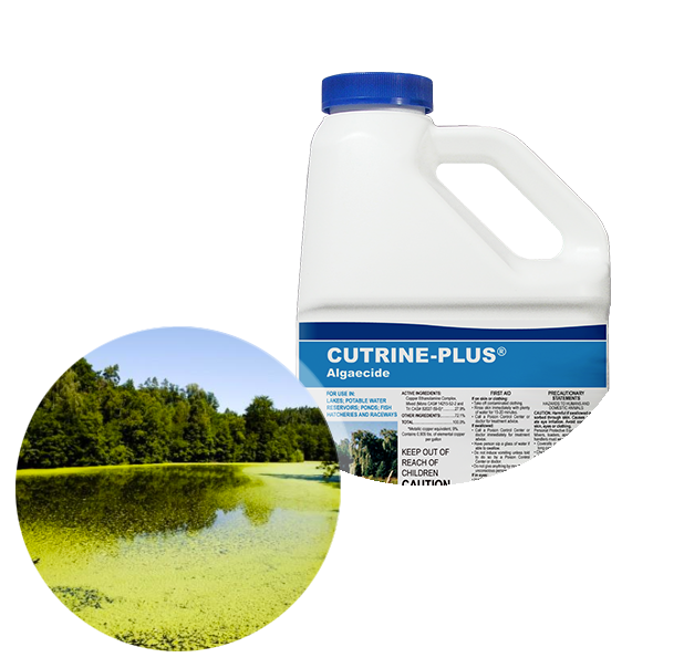 Applied Biochemists Cutrine Plus Aquatic Algaecide Pest Control 2.5 Gal